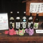 Sake Tasting Tour - A Deep Dive into the Sake Tasting Experience