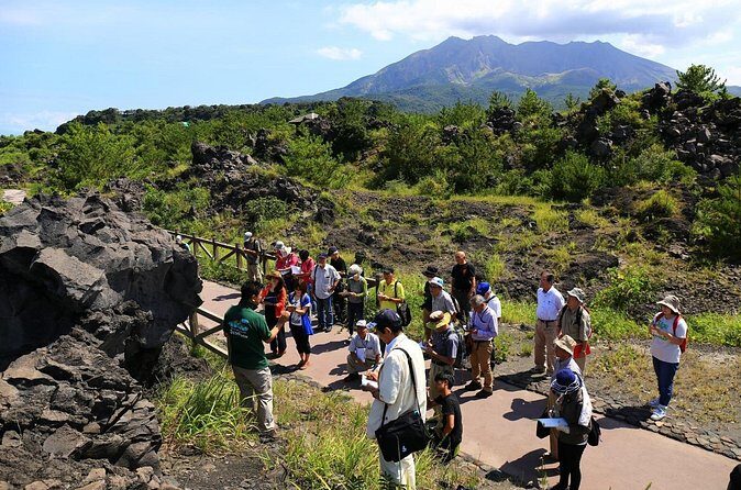 Sakurajima Volcano Guided Walking Tour - What to Expect on the Tour