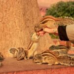 Same Day Taj Mahal, Agra Fort & Baby Taj Tour from Jaipur - Exploring Agra Fort: An Architectural Marvel