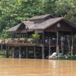Sandakan 3 Day Sukau Rainforest Wildlife Journey and Cruises - Who Will Love This Tour?