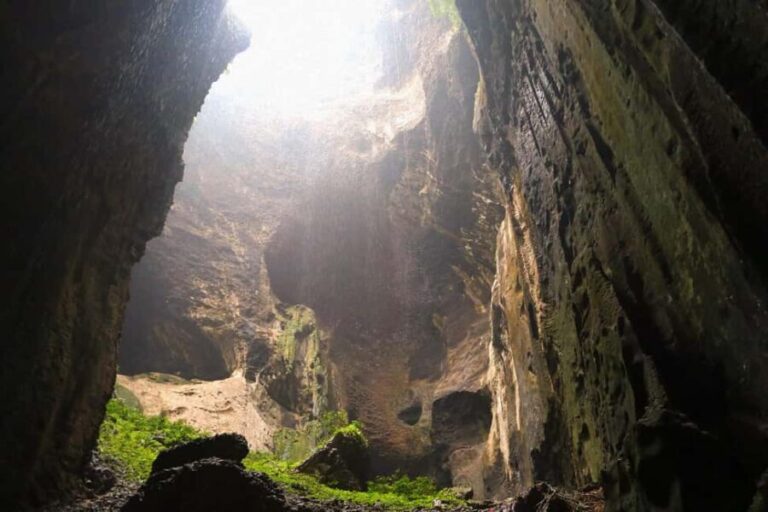 Sandakan: Gomantong Cave Echoes & Kinabatangan River Safari - Practical Details and What to Expect