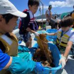 Sanriku Geopark Fishing Industry Field Trip - Discovering Japan’s Fishing Heritage in Iwate