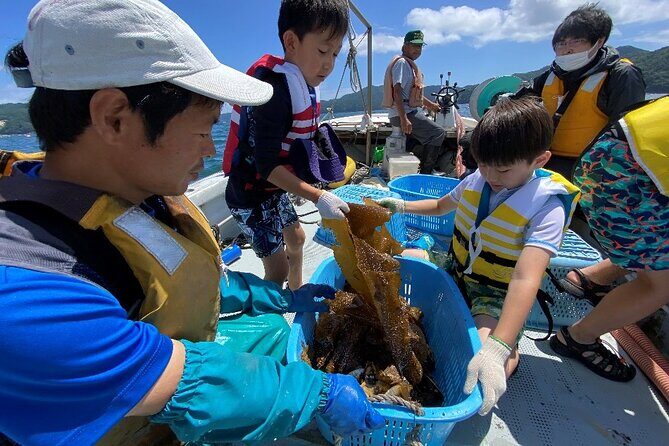 Sanriku Geopark Fishing Industry Field Trip - Discovering Japan’s Fishing Heritage in Iwate