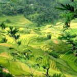 Sapa 2 Days 1 Night From Hanoi - Overnight in Ta Van Homestay - Who Is This Tour Best For?