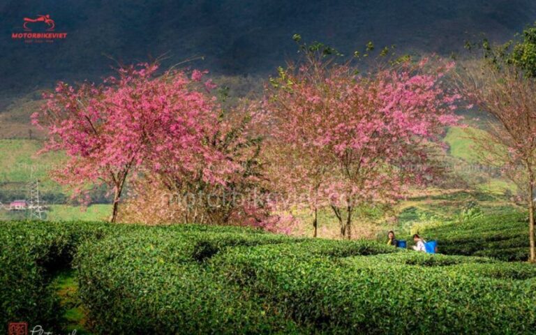 SAPA 3 DAYS 2 NIGHTS PACKAGE - The Highlights That Make This Tour Special