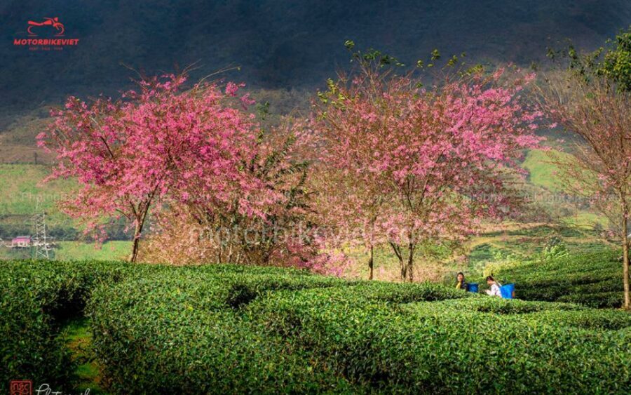 SAPA 3 DAYS 2 NIGHTS PACKAGE - The Highlights That Make This Tour Special