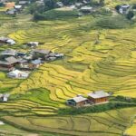 Sapa: 4-Day Trekking Tour with Homestay and Meals - What Makes This Tour Stand Out