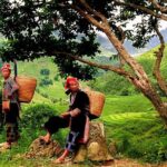 Sapa Easy Trekking Tour 1 Day - Rice Paddies and Cultures - Exploring the Sapa Easy Trekking Tour in Detail