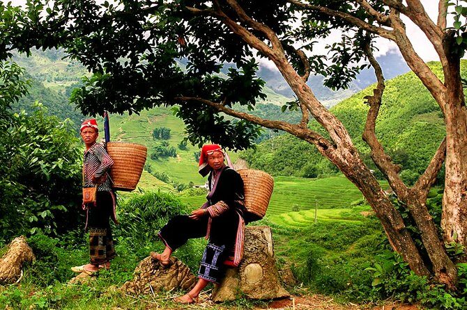 Sapa Easy Trekking Tour 1 Day - Rice Paddies and Cultures - Exploring the Sapa Easy Trekking Tour in Detail