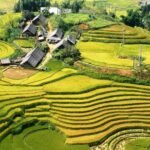 Sapa No-Trek Escape: Ta Van Village, Muong Hoa Valley, Spa & Café - Exploring Sapa’s Best Views and Cultures in Half a Day