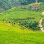 Sapa Trekking 3 Days 2 Nights (Hotel) - Departure From Hanoi - Who Should Book This Tour?