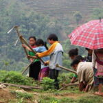Sapa Trekking Bargains With Local Guide - In The Sum Up: Who Is This Tour Best For?