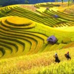 Sapa Trekking Tours - 2 Days 1 Night Stay At Homestay - What Makes This Tour Stand Out?