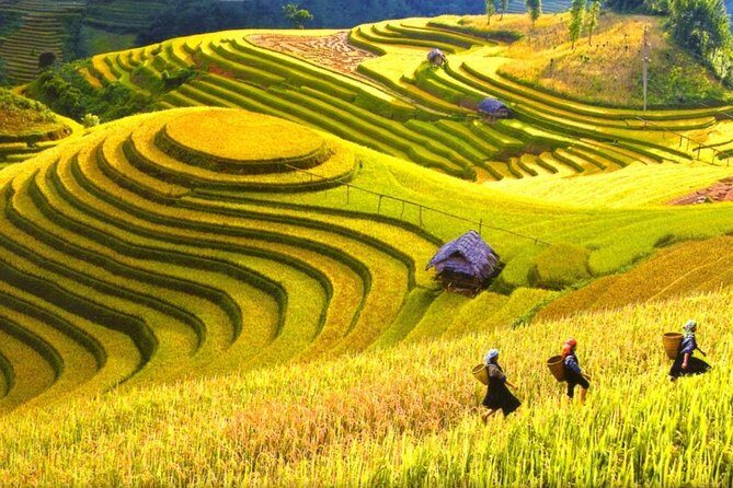 Sapa Trekking Tours - 2 Days 1 Night Stay At Homestay - What Makes This Tour Stand Out?