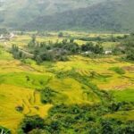 Sapa Valley Trek and Homestay - 3D2N Private Tour - Day Three: Village Life and Farewell