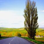 Sapporo to Blue Pond & Shirahige Falls Furano Private Tour - Why Choose This Tour? An In-Depth Look