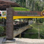 Sarawak Orangutan Semenggoh Wildlife Centre Tour - Final Thoughts