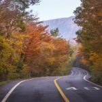 Scenic Jiri Mountain Autumn Foliage One Day Tour from Busan - Why This Tour Offers Great Value