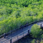 Scenic River Trip on the Pranburi River - The Sum Up