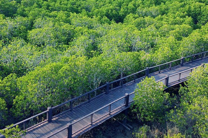 Scenic River Trip on the Pranburi River - The Sum Up