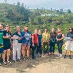 Scenic Road Trip to Ella from Kandy (Group) - Why This Tour Works for Different Types of Travelers