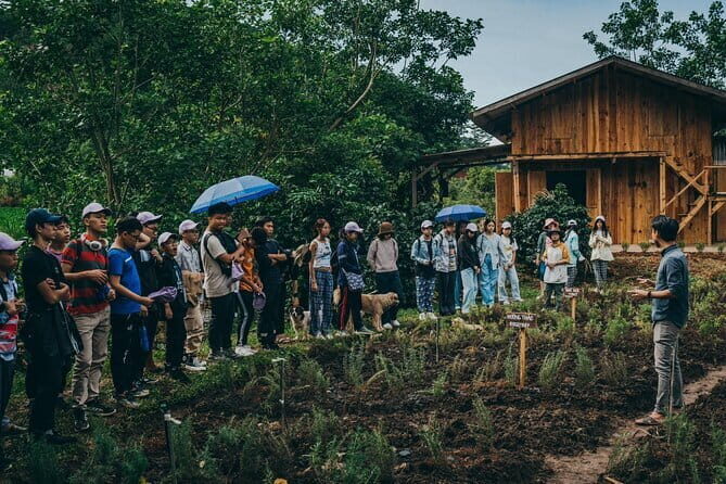Scented Candle Workshop in Twin Beans Farm Da Lat - A Detailed Look at the Scented Candle Workshop in Twin Beans Farm Da Lat