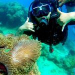 Scuba Diving in Tribe Gate - FAQ