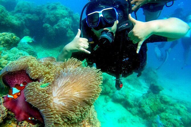 Scuba Diving in Tribe Gate