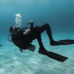 Scuba Diving in Unawatuna - An In-Depth Look at Scuba Diving in Unawatuna