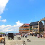 Seasonal Mt. Fuji Scenic Views, Fruit Picking and Ropeway Ride! - Exploring the Itinerary: What to Expect Throughout Your Day