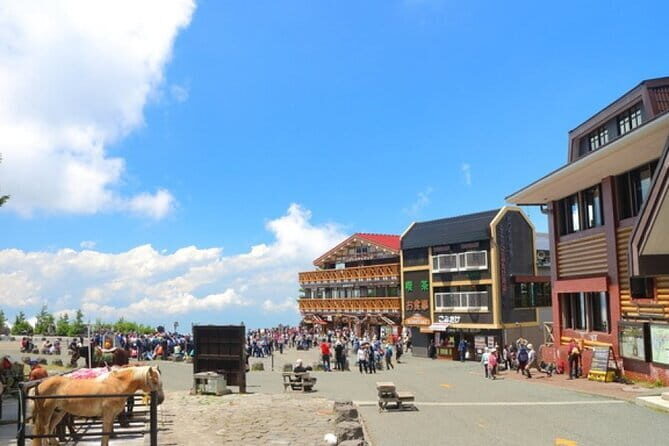 Seasonal Mt. Fuji Scenic Views, Fruit Picking and Ropeway Ride! - Exploring the Itinerary: What to Expect Throughout Your Day