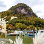 Seasonal Pocheon Full Day Tour with Apple Farm Experience - Who Is This Tour Best For?