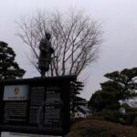 Seasonal Splendor  Kyoto Cherry Blossoms (Spring Only) - Practical Information and Tips