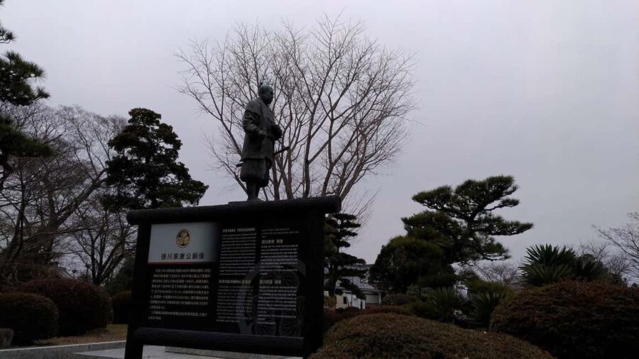 Seasonal Splendor  Kyoto Cherry Blossoms (Spring Only) - Practical Information and Tips