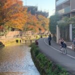 Secret Eastern Kyoto Biking Adventure - What Makes This Tour Stand Out?