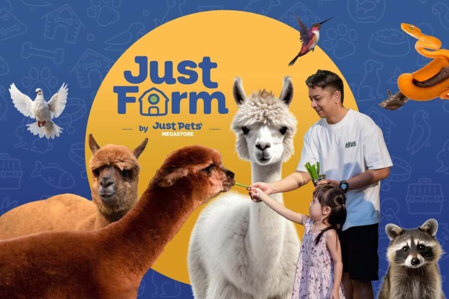 Selangor : Just Farm at Just Pets Megastore Ticket - A Closer Look: The Experience at Just Farm