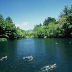 Self Guided Tour in Karuizawa with Bullet Train Ticket - Who Should Consider This Tour?
