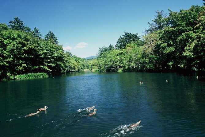 Self Guided Tour in Karuizawa with Bullet Train Ticket - Who Should Consider This Tour?