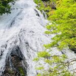 Senjogahara Nature Guide Tour in Nikko - Who Will Love This Tour?