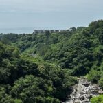 Seogwipo (The Southern City of Jeju) Jungmun Area Walking Tour - Authentic Experiences and Authenticity