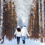 Seoraksan National Park & Nami Island - A Detailed Look at the Tour Experience