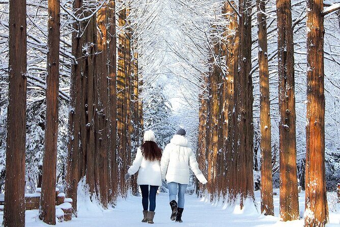 Seoraksan National Park & Nami Island - A Detailed Look at the Tour Experience