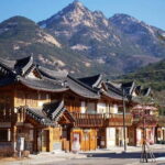 Seoul and Suburbs Private Customized Tour - Authenticity and Local Insights