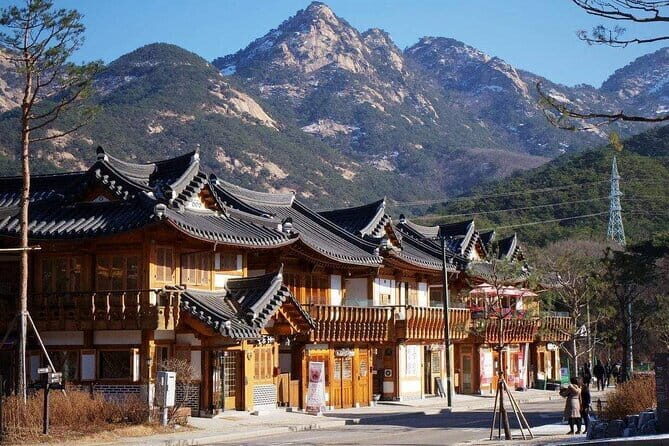 Seoul and Suburbs Private Customized Tour - Authenticity and Local Insights