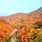 Seoul City Highlights Tour: Hanok Village, Scenic Routes - Summary: Who Will Get the Most Out of This Tour?