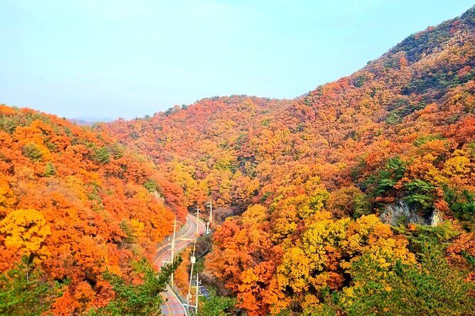 Seoul City Highlights Tour: Hanok Village, Scenic Routes - Summary: Who Will Get the Most Out of This Tour?