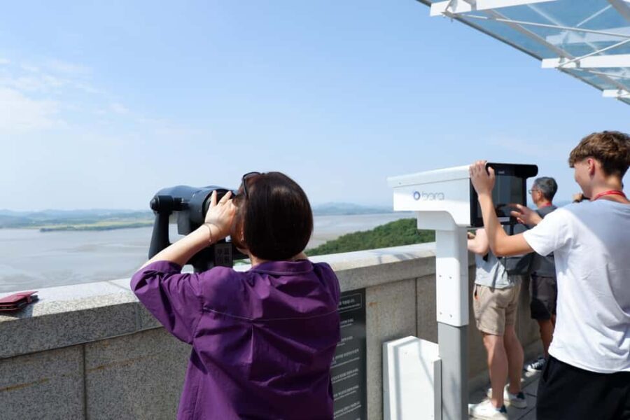 Seoul: DMZ Tour with Optional Suspension Bridge - Who Should Consider This Tour?