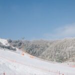 Seoul: Elysian Gangchon Winter Ski Resort Fun Day Tour - An In-Depth Review of the Elysian Gangchon Winter Ski Tour