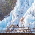Seoul: Eobi Ice Valley, Alpaca World, Nami Island and More - Authentic Traveler Insights