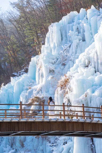 Seoul: Eobi Ice Valley, Alpaca World, Nami Island and More - Authentic Traveler Insights